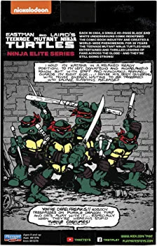 Playmates Teenage Mutant Ninja Turtles Rapahel PX Action Figure